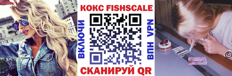 Cocaine Fish Scale  KRAKEN как войти  Миньяр 