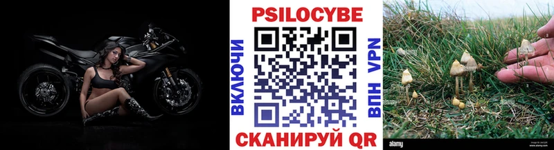 Галлюциногенные грибы GOLDEN TEACHER  Миньяр 